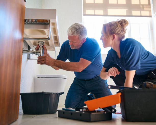 Best Plumbing Inspections & Maintenance in Earlvle, IL